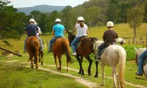 Fethiye Horse Riding image 1